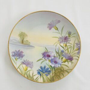 Beautiful vintage Nippon 1900’s flower painted plate